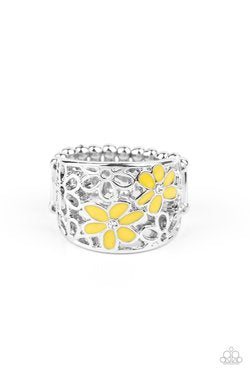 Clear as DAISY